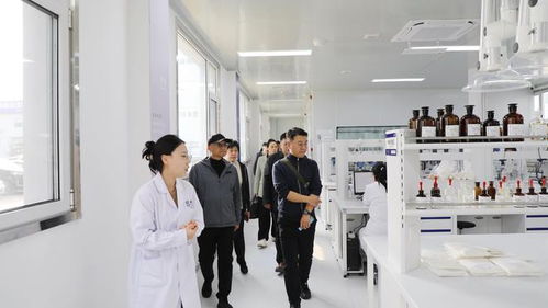 一株海藻的数字化革命 信息技术咨询如何重塑传统食品产业