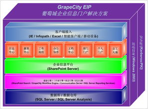 葡萄城服务 企业信息门户与工作流管理的高效整合方案