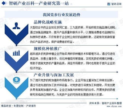 党参行业分析报告 市场规模、供需态势、竞争格局及投融资动态解析